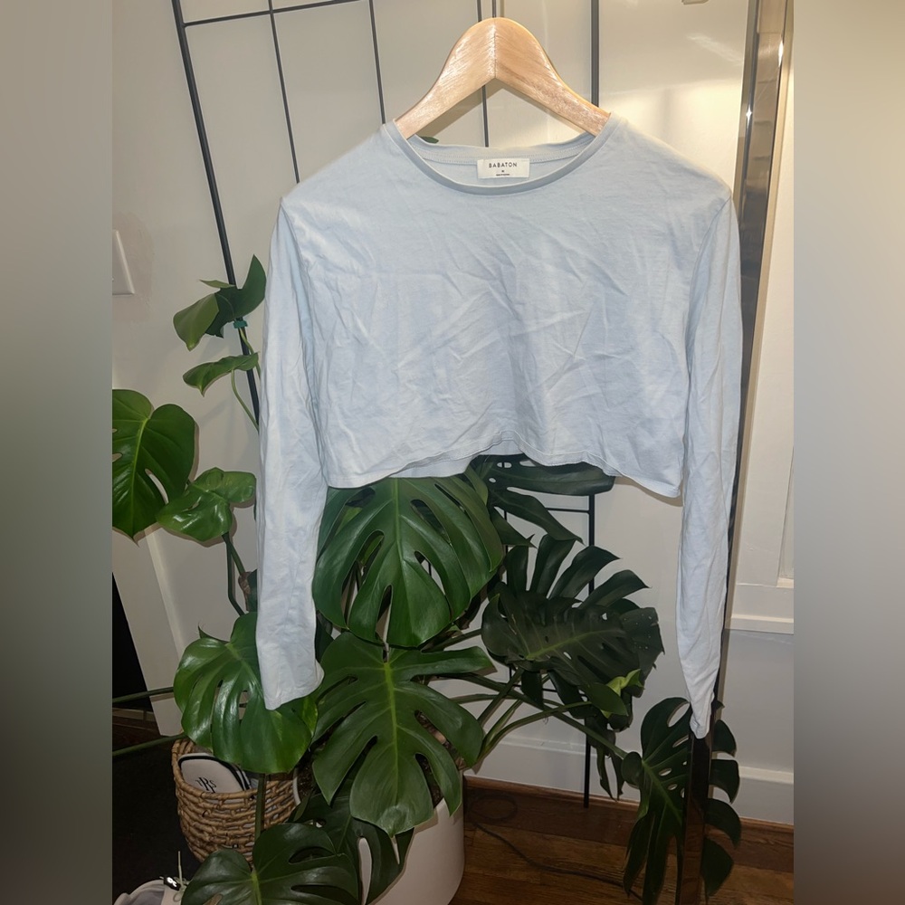 Babaton Aritizia Crop Top